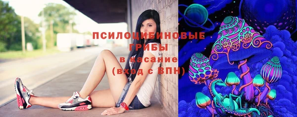 молекула духа Михайлов