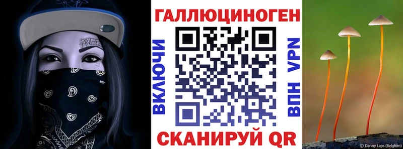Галлюциногенные грибы прущие грибы  Красноперекопск 